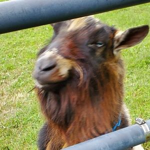 Meet your Posher, Dewayne